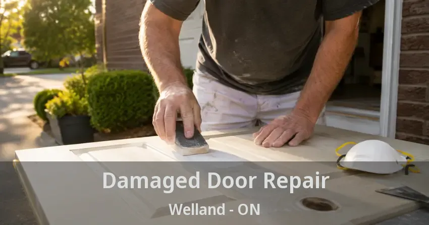 Damaged Door Repair Welland - ON