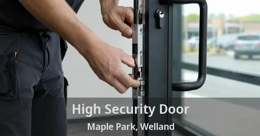 High Security Door Maple Park, Welland - ON